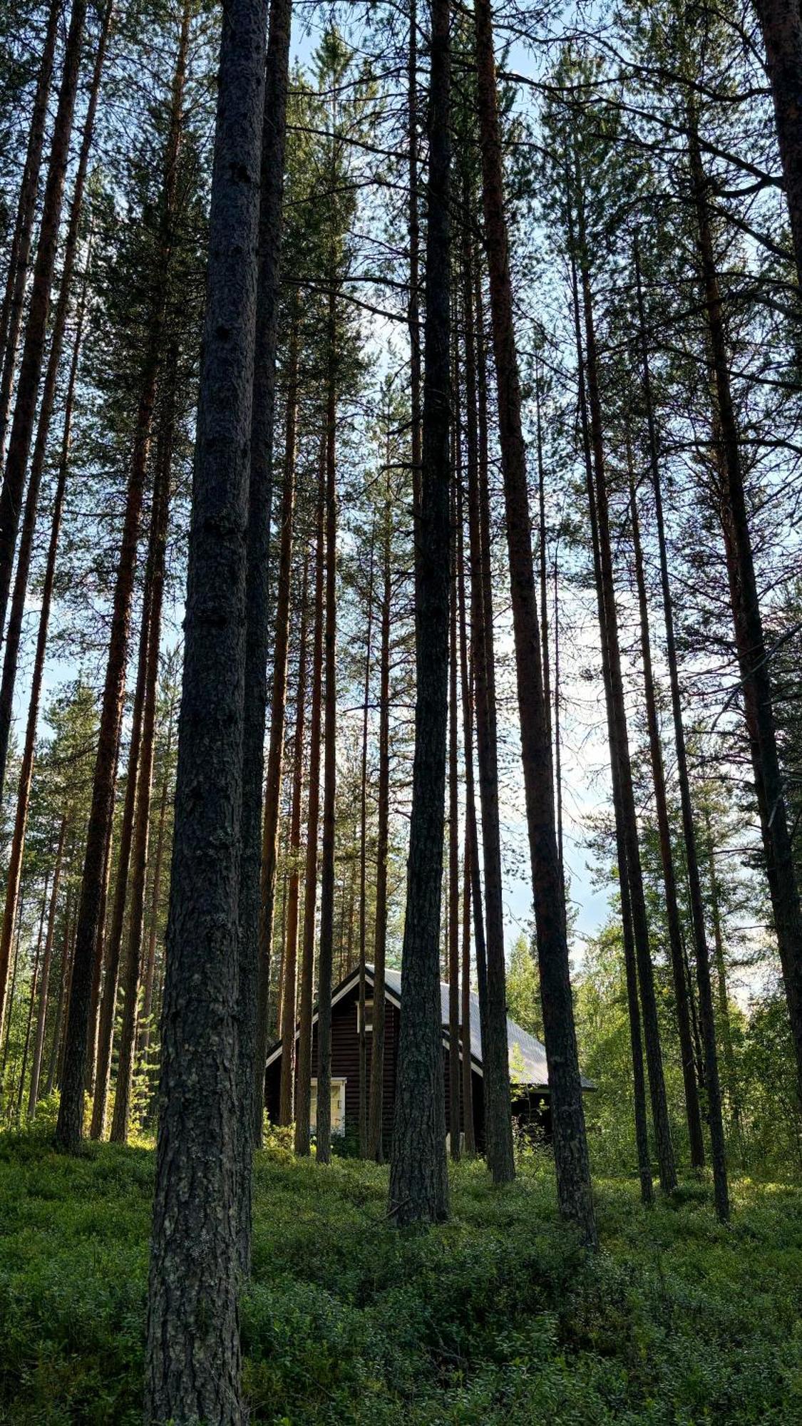 Sky Lodging ~ Sleeping Under The Stars Rovaniemi Exterior foto